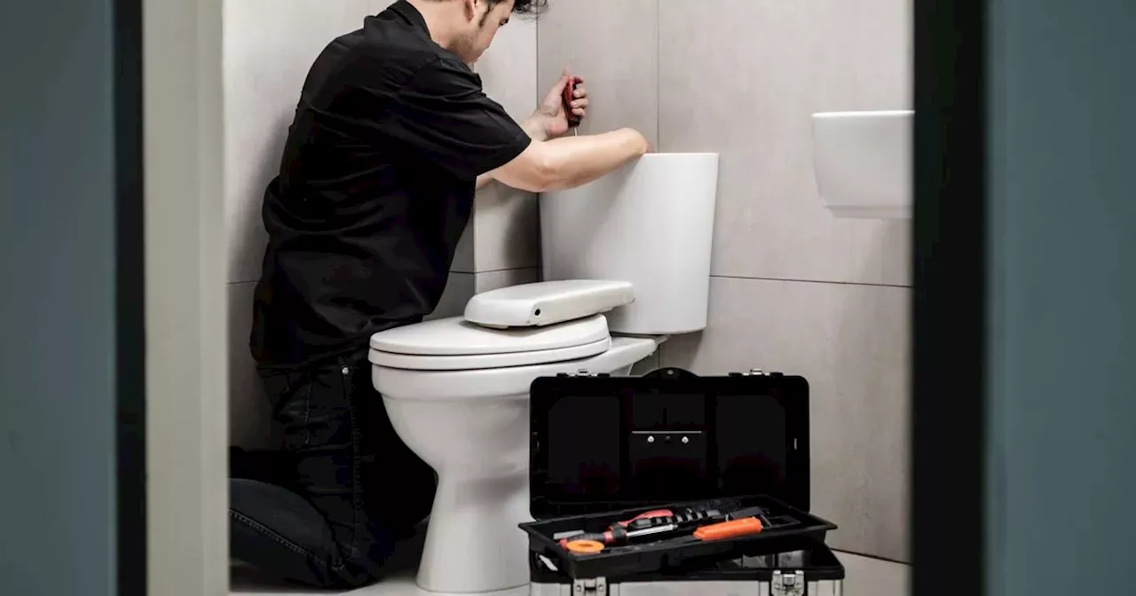 Plumber says 'it's catastrophic' as he warns against TikTok toilet hack