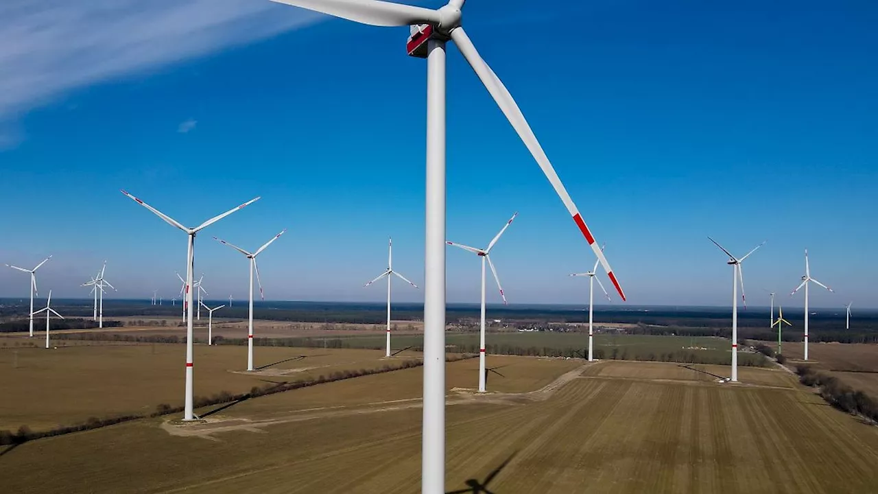 Niedersachsen & Bremen: Niedersachsen bei Windkraft-Ausbau weit vorn