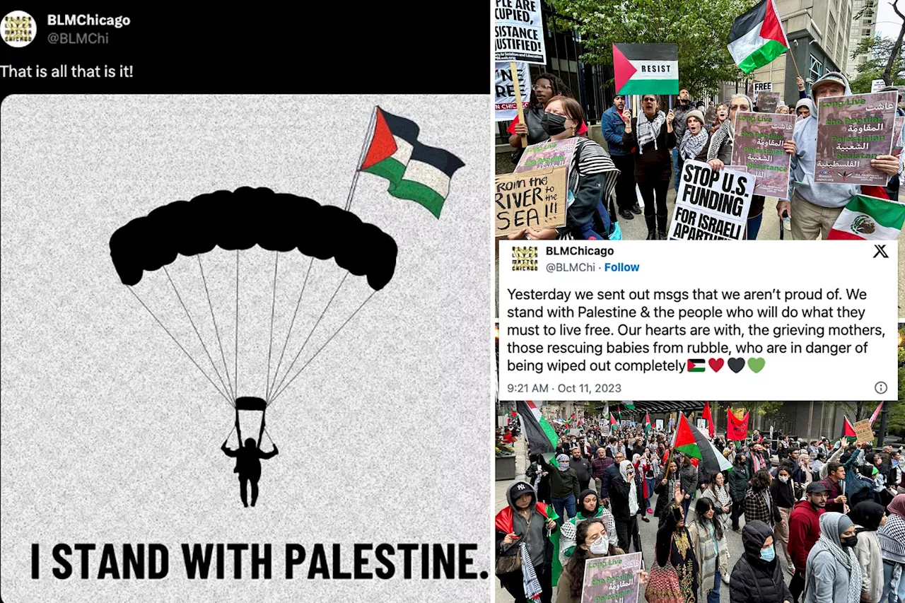 BLM Chicago admits it 'isn't proud' of deleted post showing paragliding terrorist after outrage