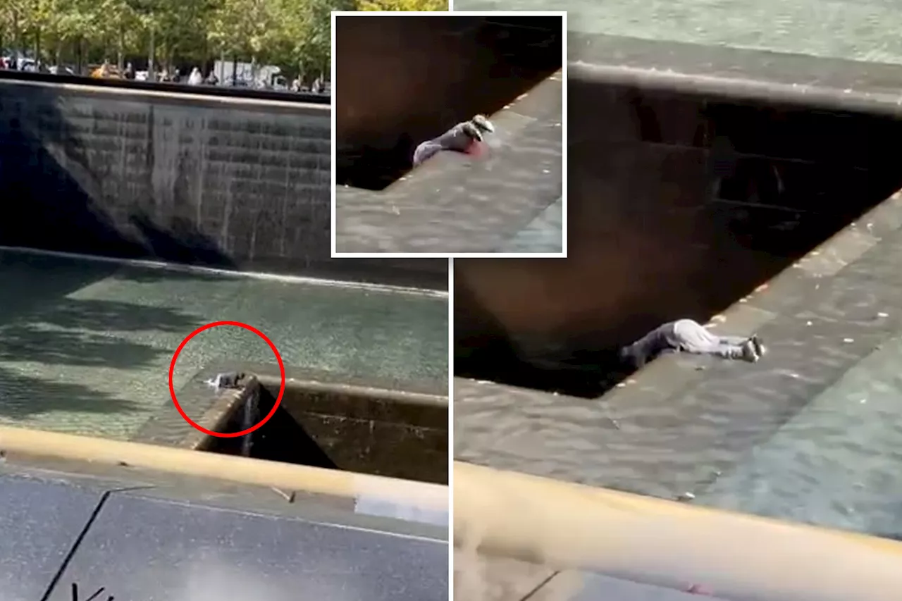 NYC man who jumped into 9/11 memorial has mental health issues, family say city refuses to treat him