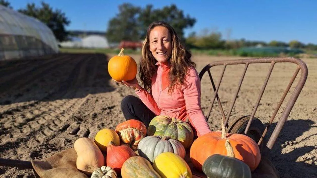 À La Ménitré, le marché d’automne est en préparation