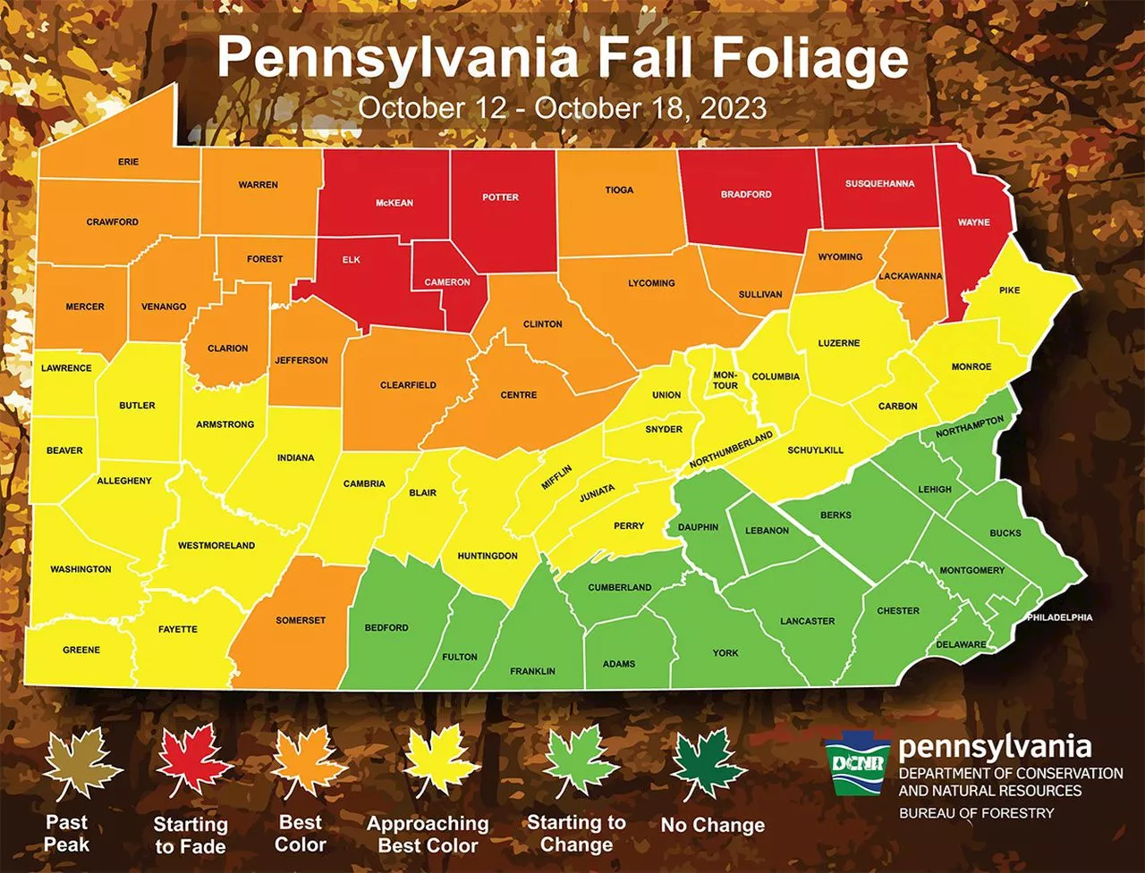 Best fall foliage in Pa. can be found in these counties this week: state report