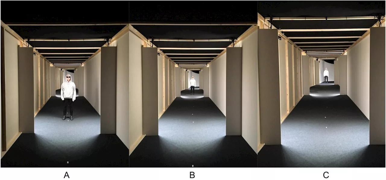 Distance, lighting, facial masking critically affect reliability of eyewitness identification, says study