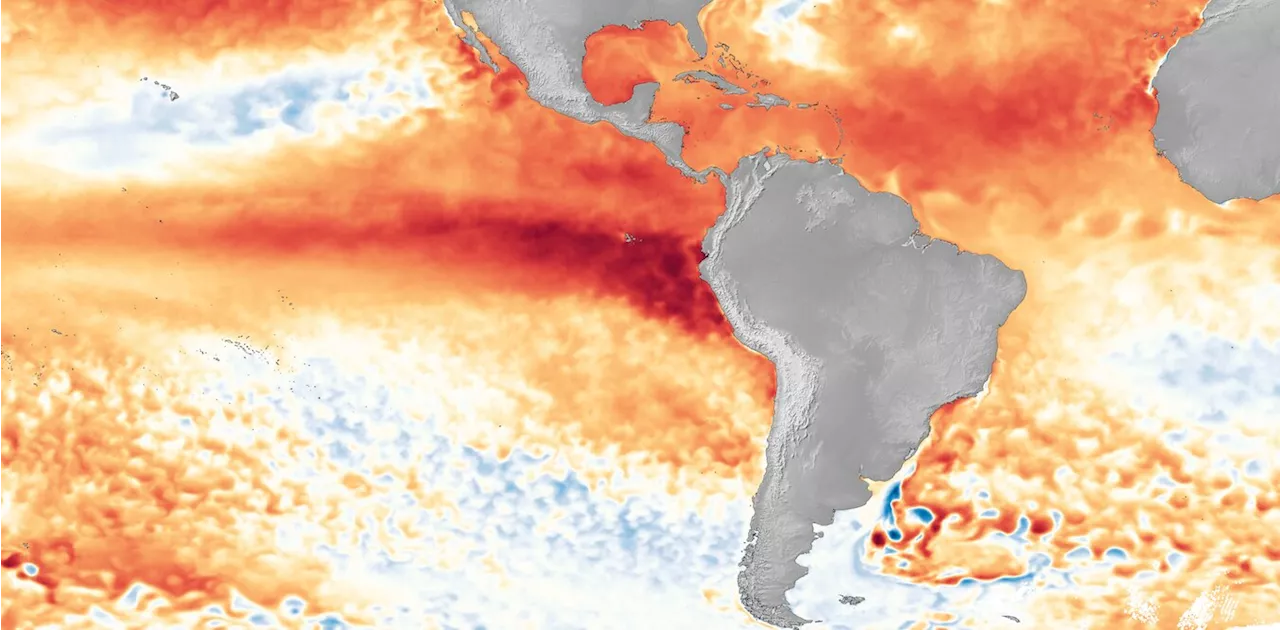 Q&A: What is a strong El Niño? Meteorologists anticipate a big impact in winter 2023, but the forecasts don't all agree