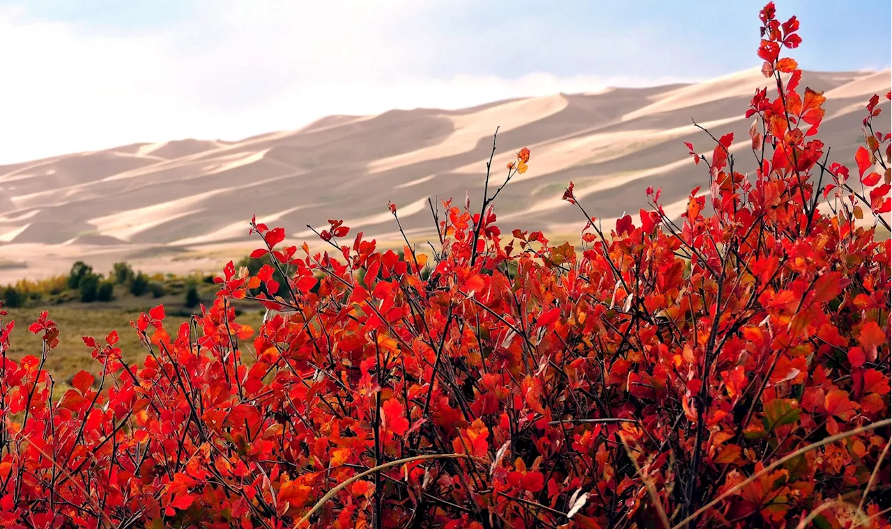 11 fiery shots of fall foliage around the US