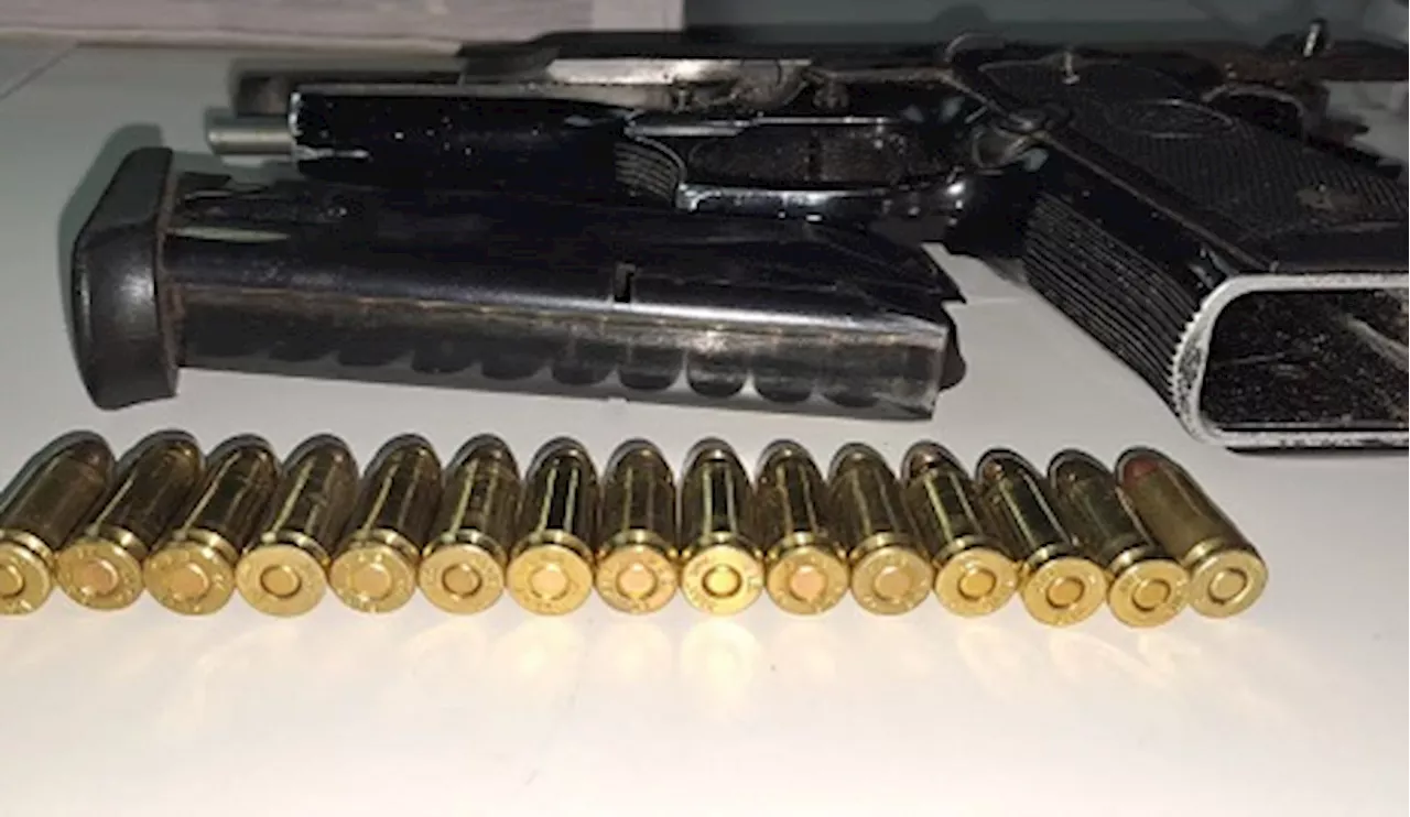 Western Cape police successfully seize firearms in crackdown - SABC News - Breaking news, special reports,