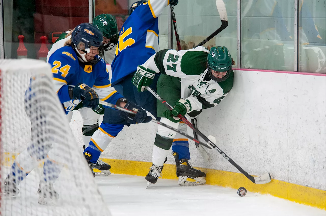 Women Panthers host back-to-back AUS hockey games