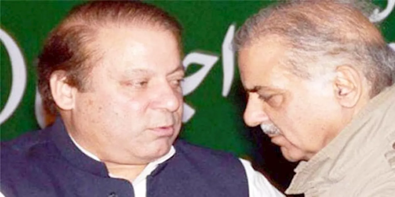 Nawaz Sharif to return for bringing economic stability to country: Shehbaz Sharif