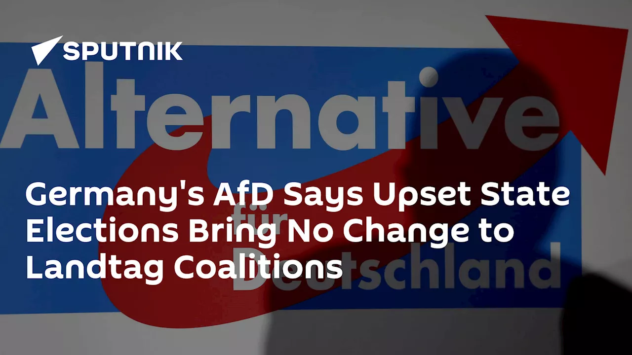 Germany's AfD Says Upset State Elections Bring No Change to Landtag Coalitions