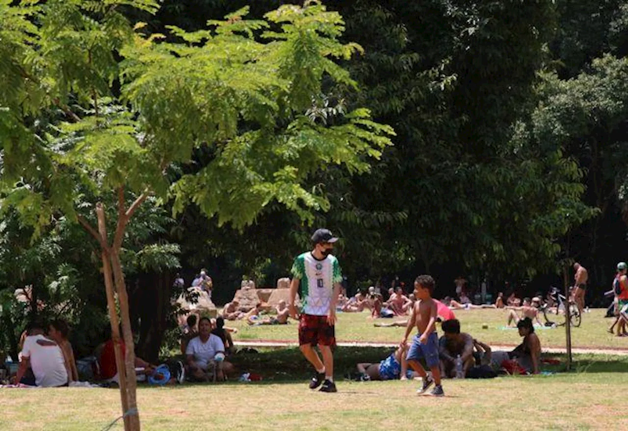 SP: confira o que abre e o que fecha durante feriado de Nossa Senhora Aparecida