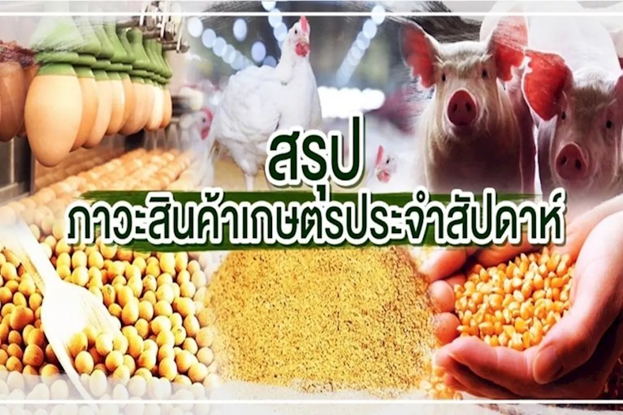 สรุปภาวะสินค้าเกษตรประจำสัปดาห์ วันที่ 9-12 ตุลาคม 2566