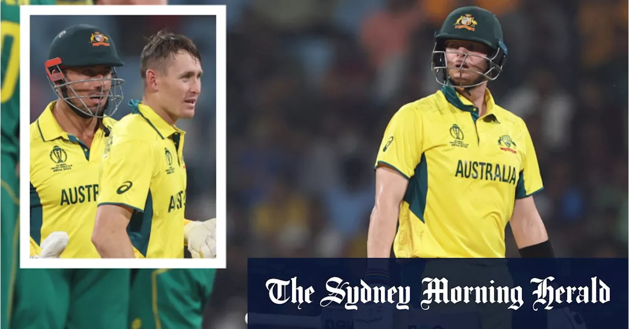 ‘Reviews need a review’: two decisions mystify badly beaten Aussies