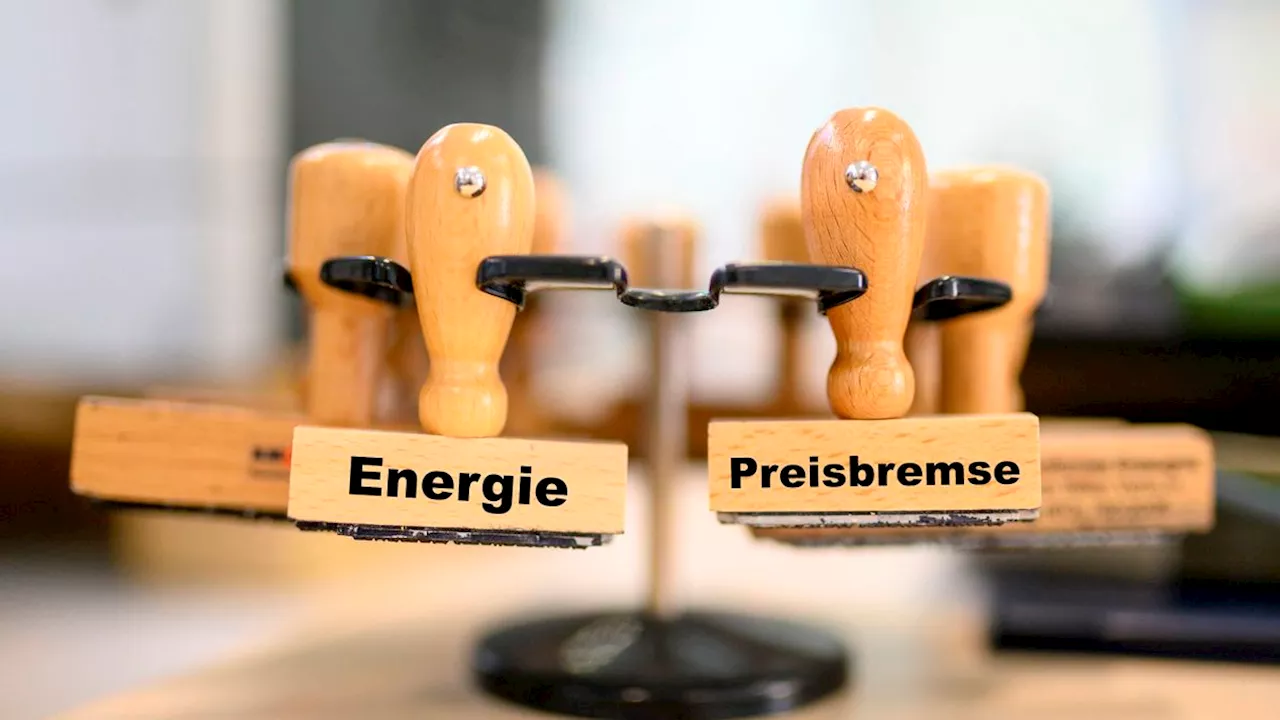 Fast 10 Prozent der Wirtschaftsleistung: Energiekrise treibt staatliche Subventionen auf Rekordwert