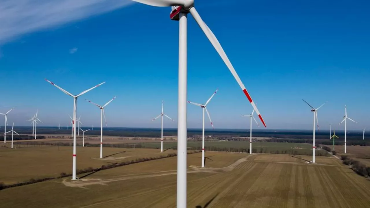 Energie: Niedersachsen bei Windkraft-Ausbau weit vorn