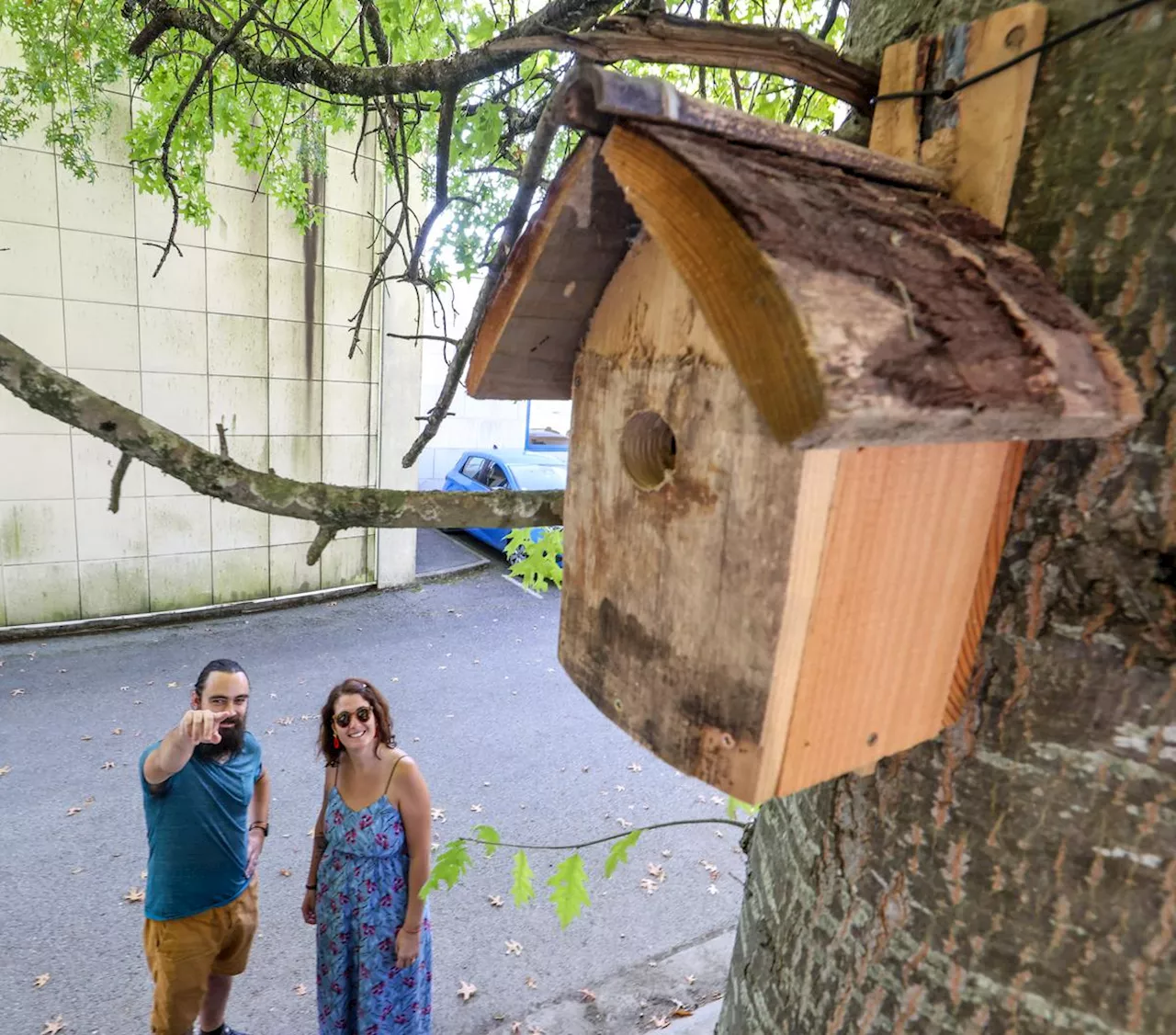 Environnement : une entreprise accueille un refuge LPO en Béarn, une première