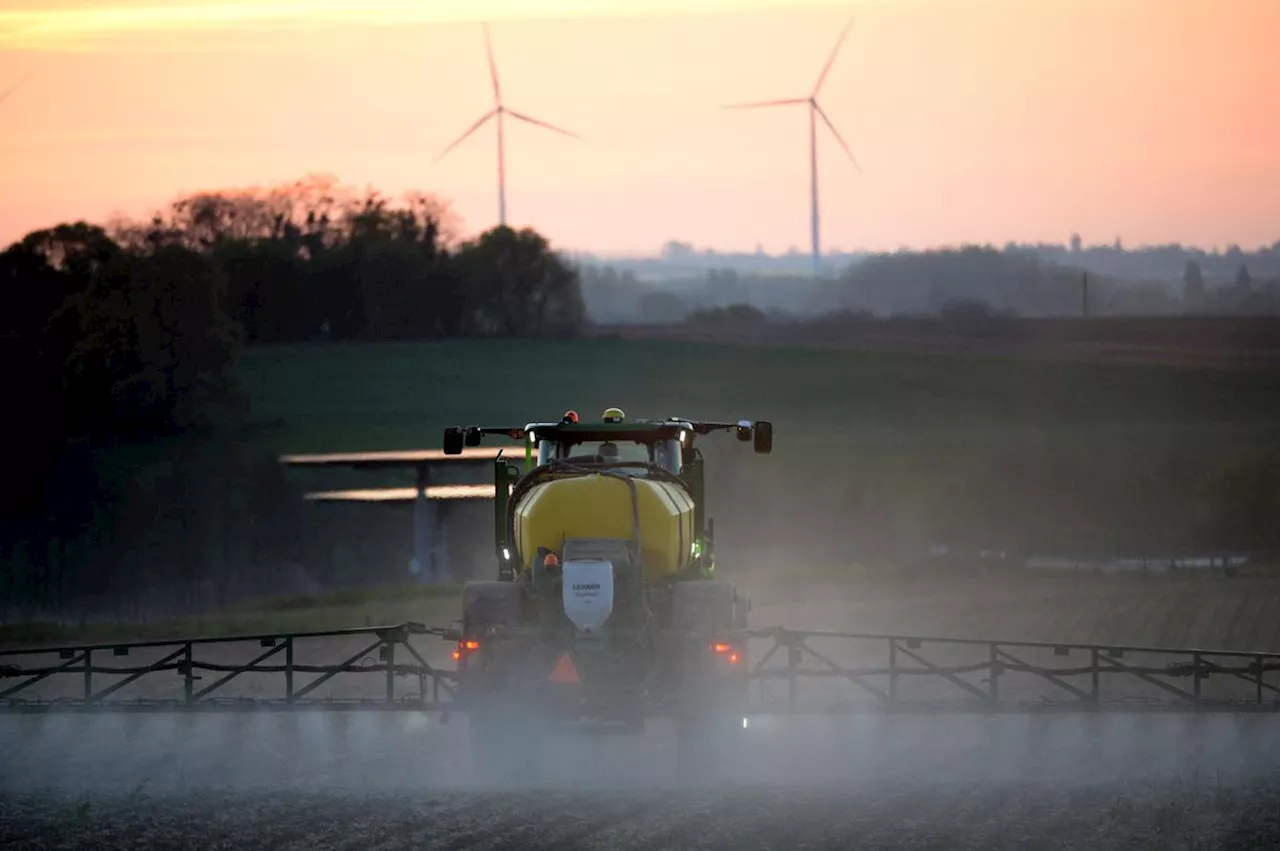 Le lien controversé entre l’exposition au glyphosate et l’émergence de pathologies