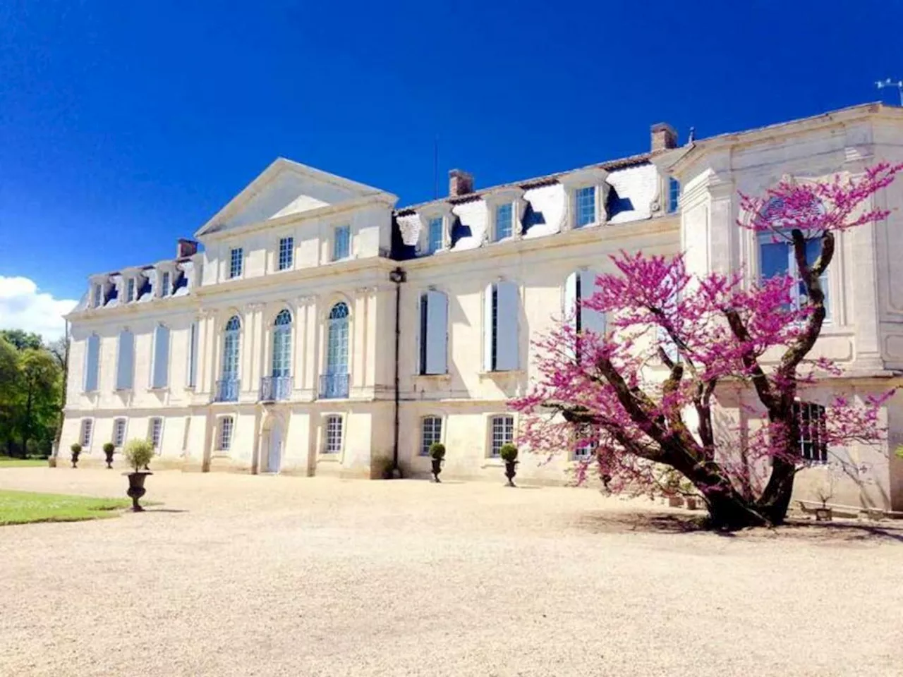 Rugby : une fan zone au château de la Gataudière à Marennes