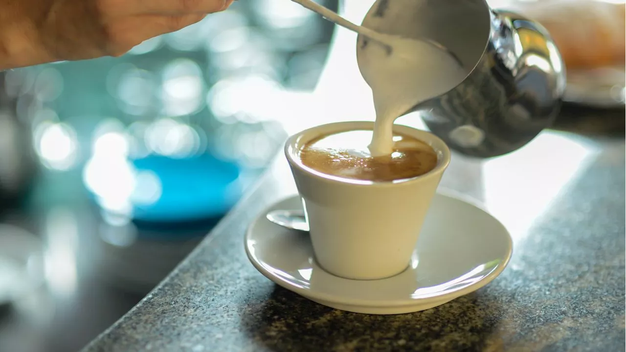 3 Euro für den Cappuccino: Protest über zu teuren Kaffee in Berliner Staatsbibliothek