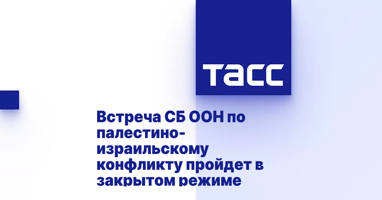 Встреча СБ ООН по палестино-израильскому конфликту пройдет в закрытом режиме