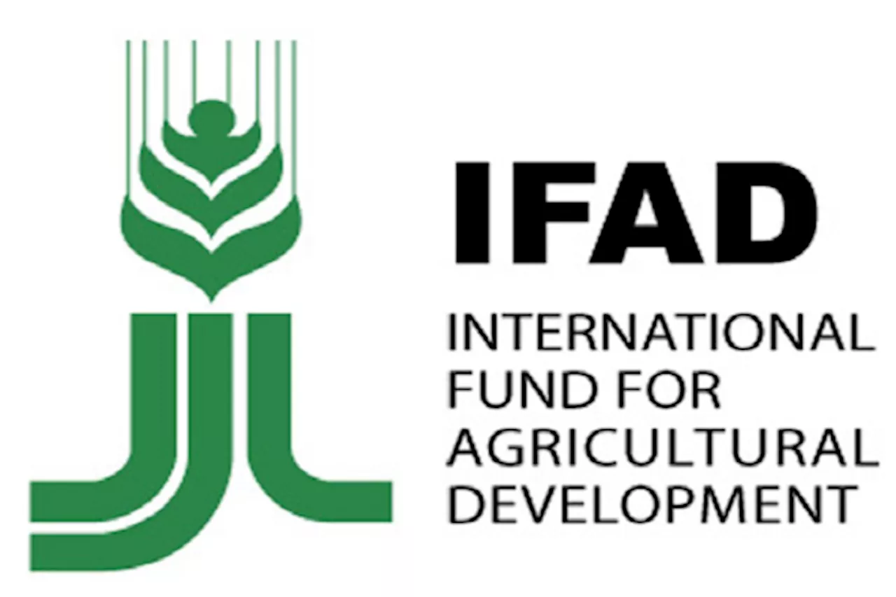 IFAD seeks states’ commitment to value chain programme