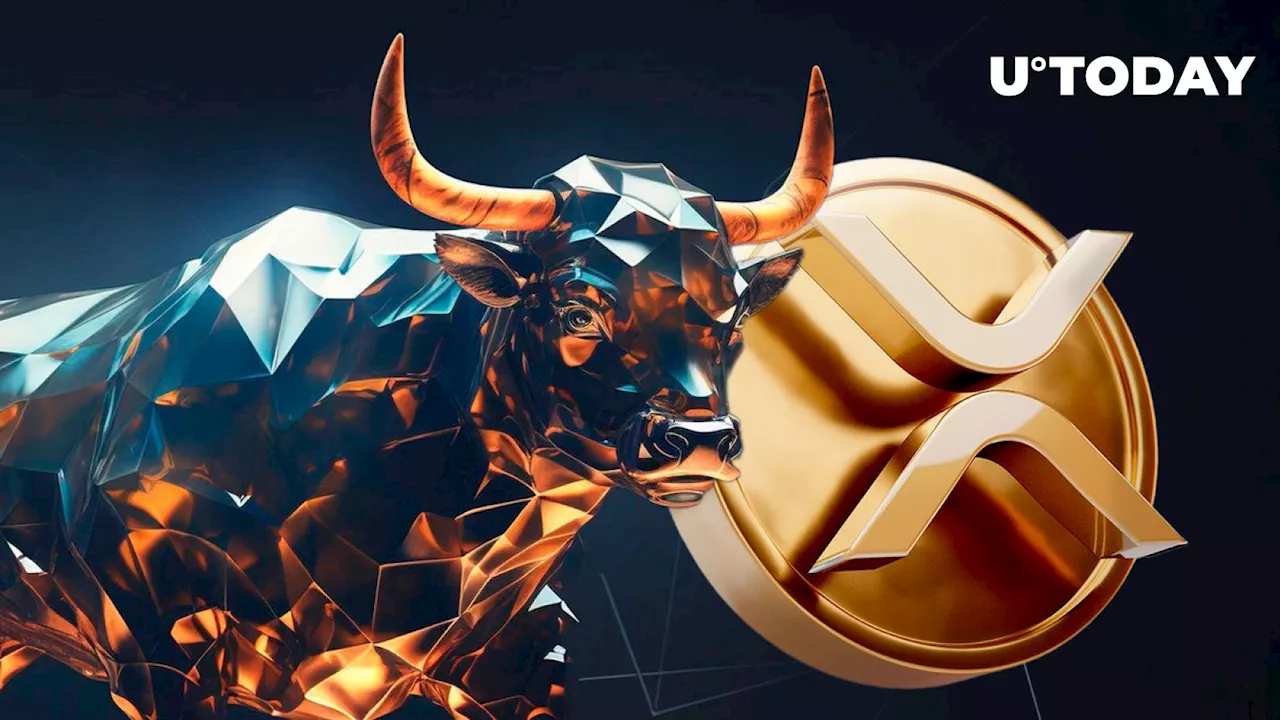 XRP Shows Extremely Bullish Sign Amid Price Downfall