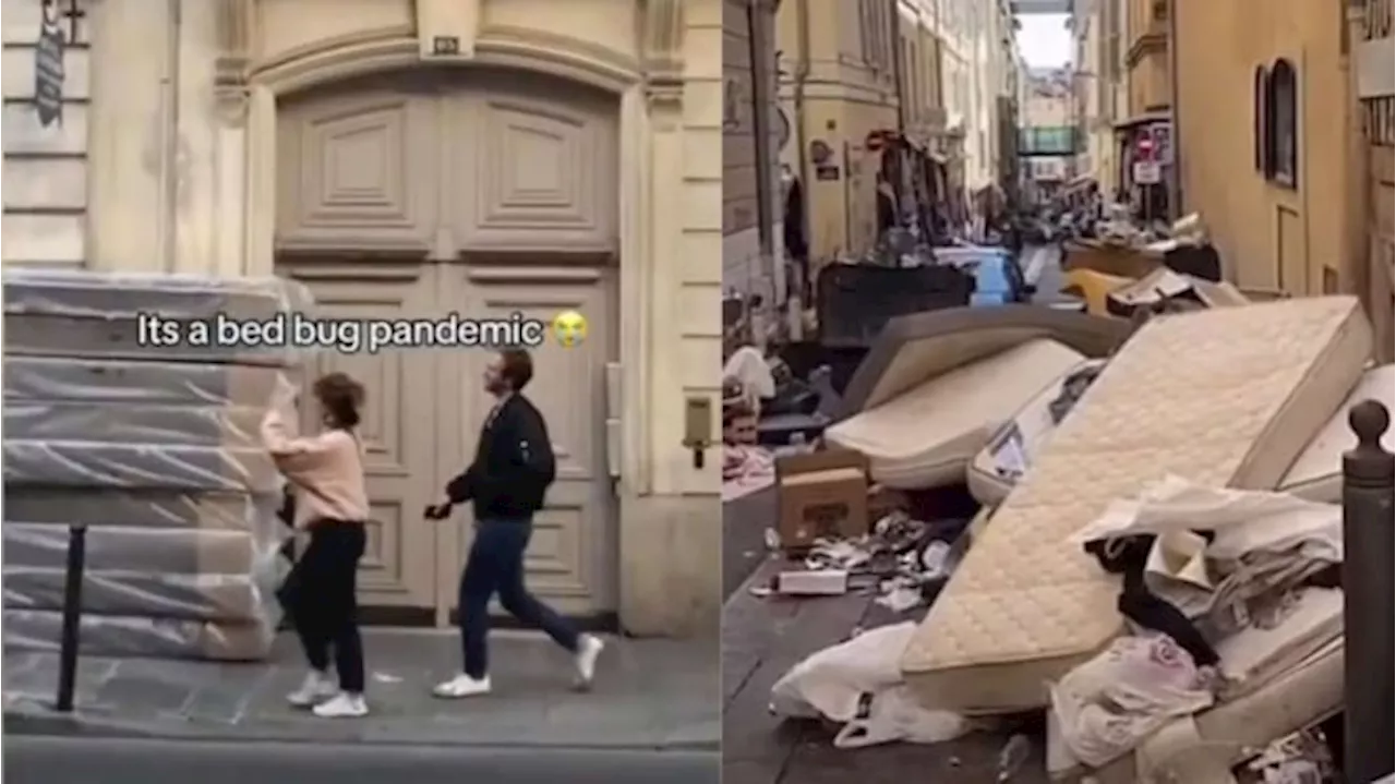 Viral Video Orang-orang Buang Kasur ke Jalanan Paris Gegara Serangan Kutu Busuk