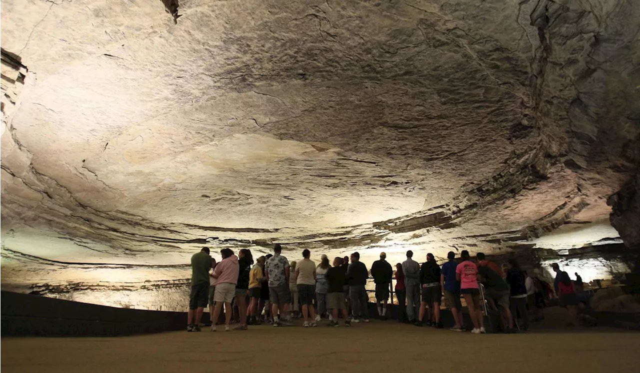 Ancient shark species identified from fossil found in Mammoth Cave National Park