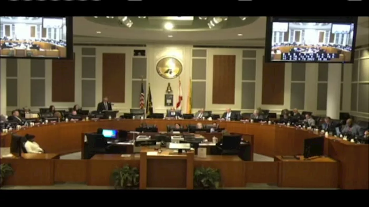 Jacksonville councilmembers stand firm in support of Israel, say resolution is not against Palestinians