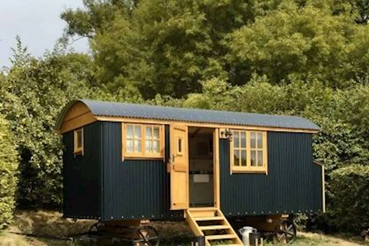 Glamping in Whitby: Plans for 12 new shepherd huts in Whitby submitted to council