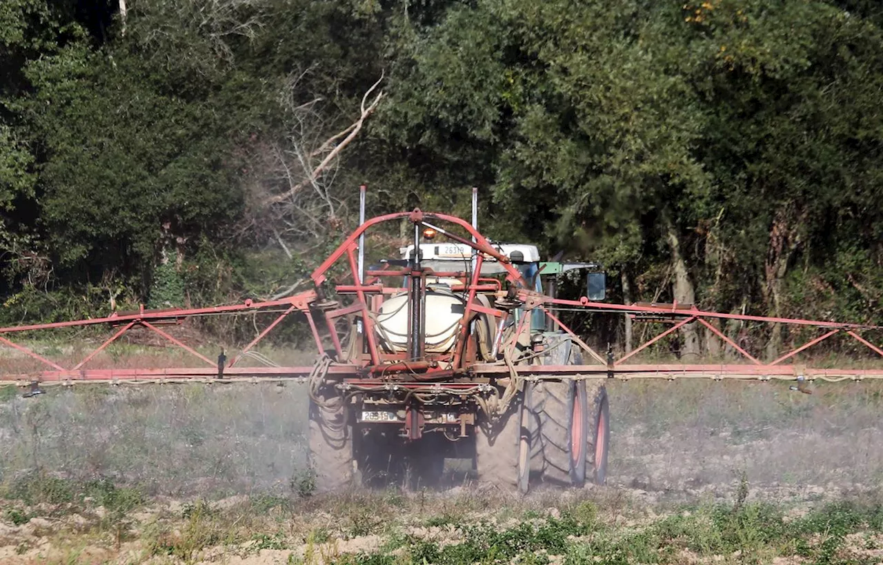 Glyphosate : La France s’abstient sur le prolongement de l’autorisation dans l’UE