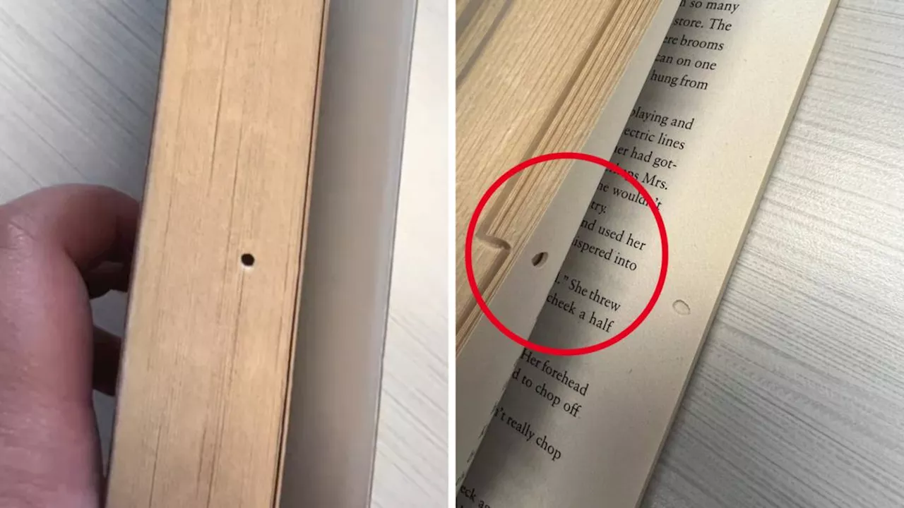 Are bookworms real? Librarian stuns internet with proof they are actual bugs