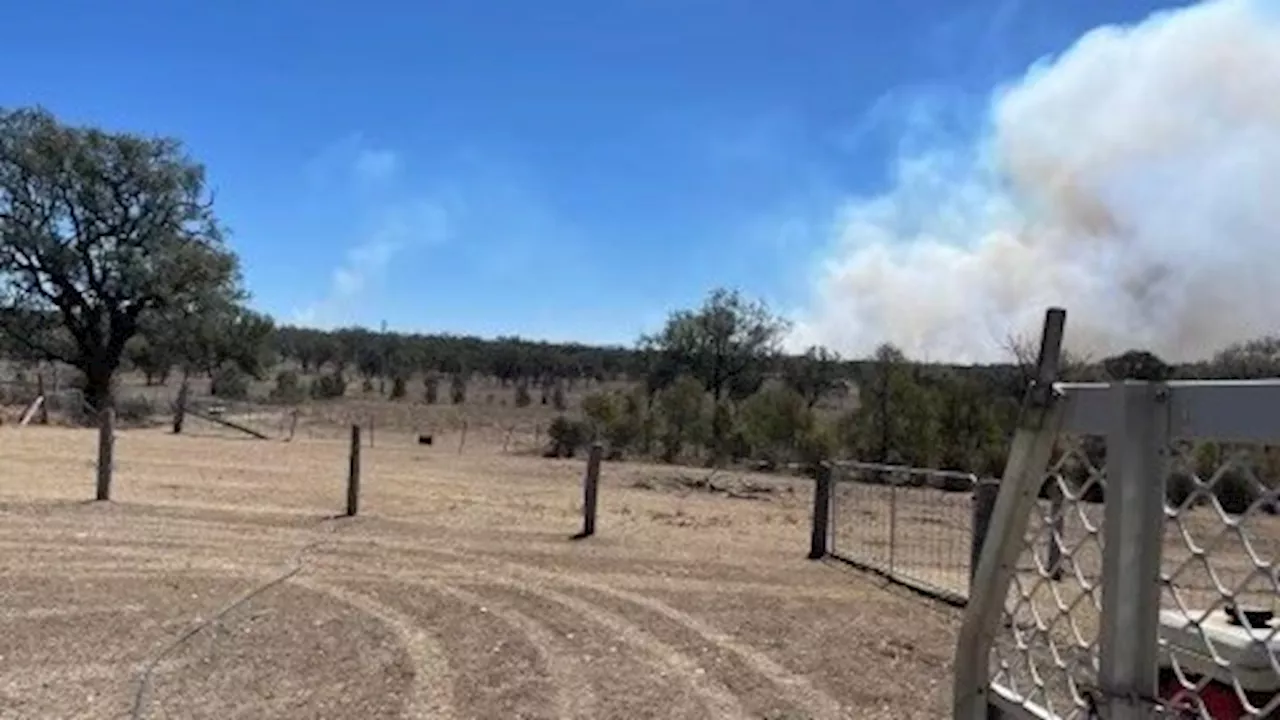 Rural Fire Service battling grassfire at Wallangra in northern New South Wales