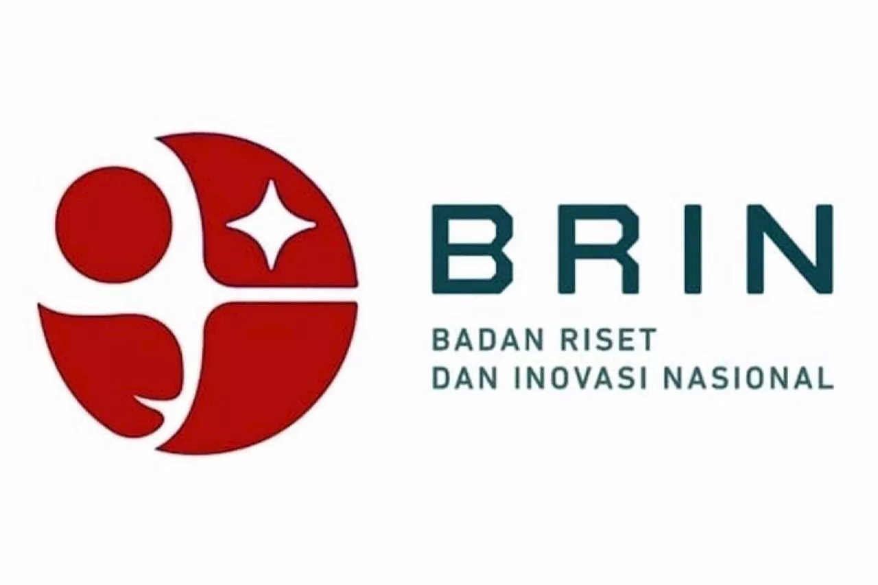 BRIN: Tulang sapi dapat sembuhkan patah tulang pada manusia