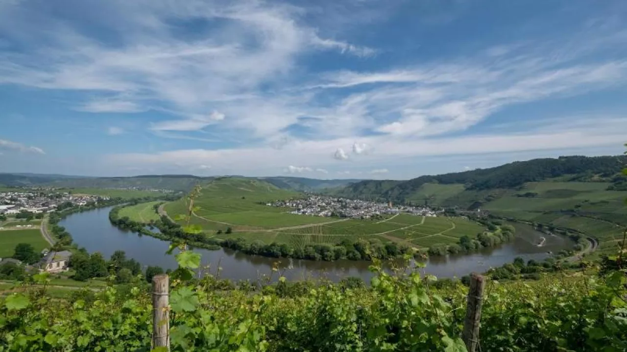 Die längsten Flüsse Deutschlands – ein Paradies für Flora und Fauna