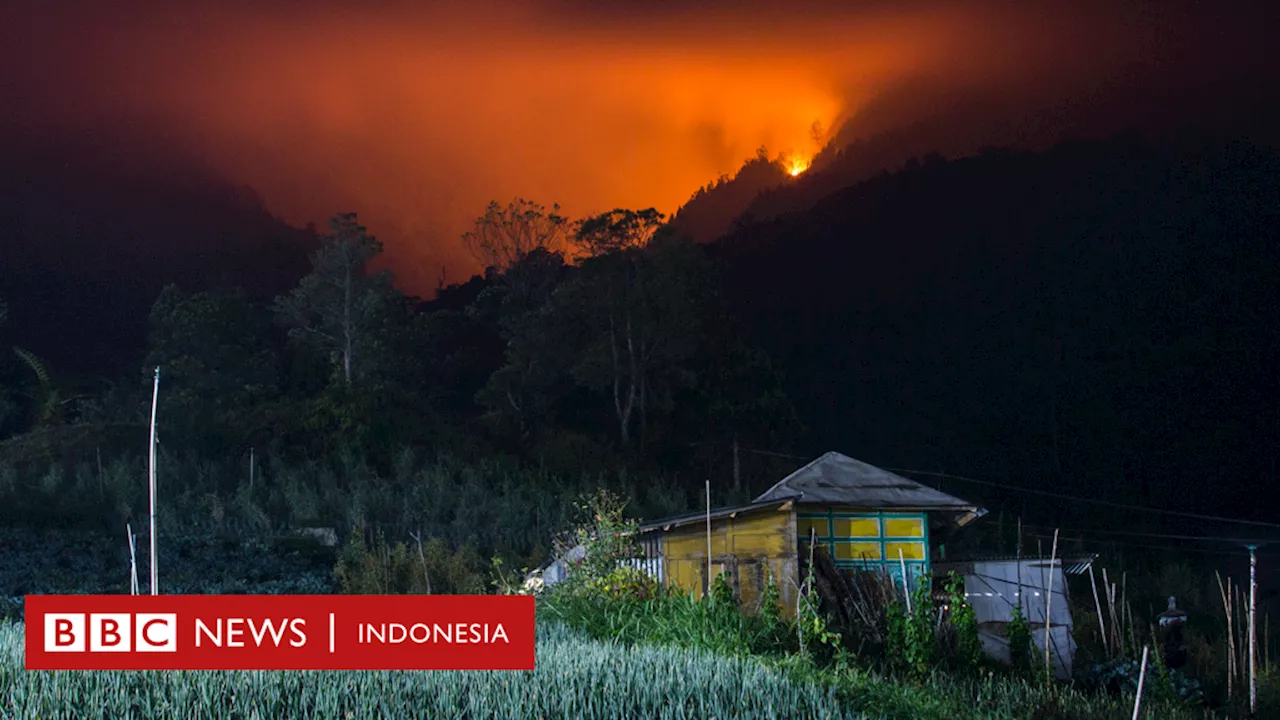 Karhutla: Kebakaran di Gunung Lawu meluas, ribuan hektare hutan hangus terbakar - Mengapa kebakaran sulit dipadamkan?