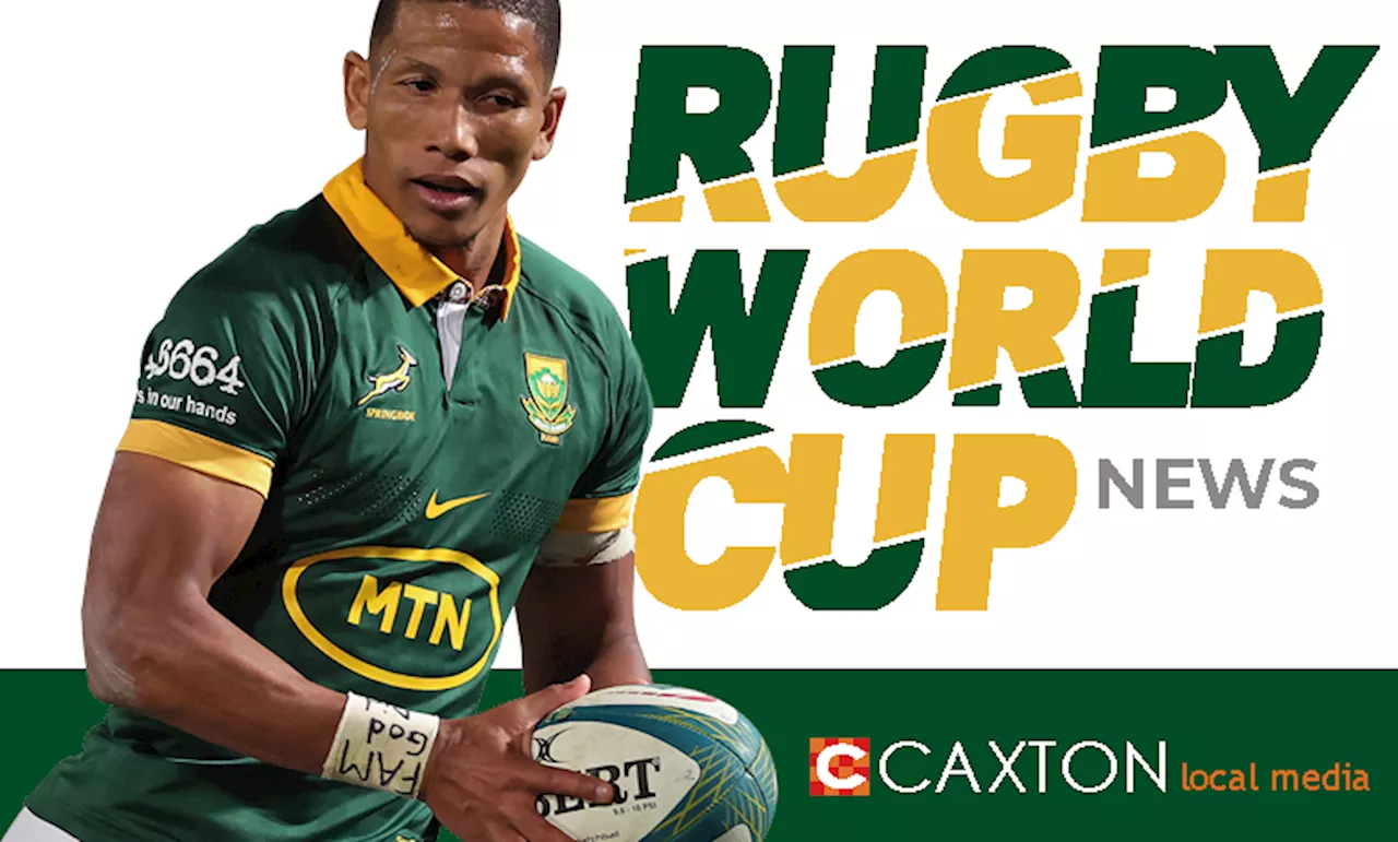 Boks shock with half-backs for France play-off