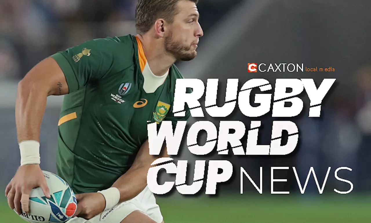 Nienaber calls for Bok world champs to do it again