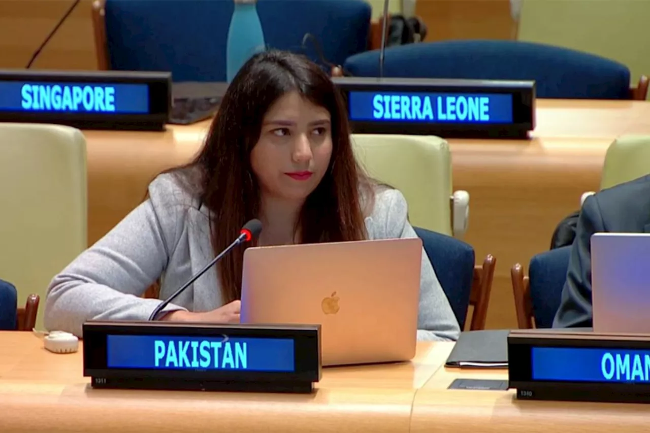 Pakistan expresses concerns over cycle of occupation, violence in Palestine