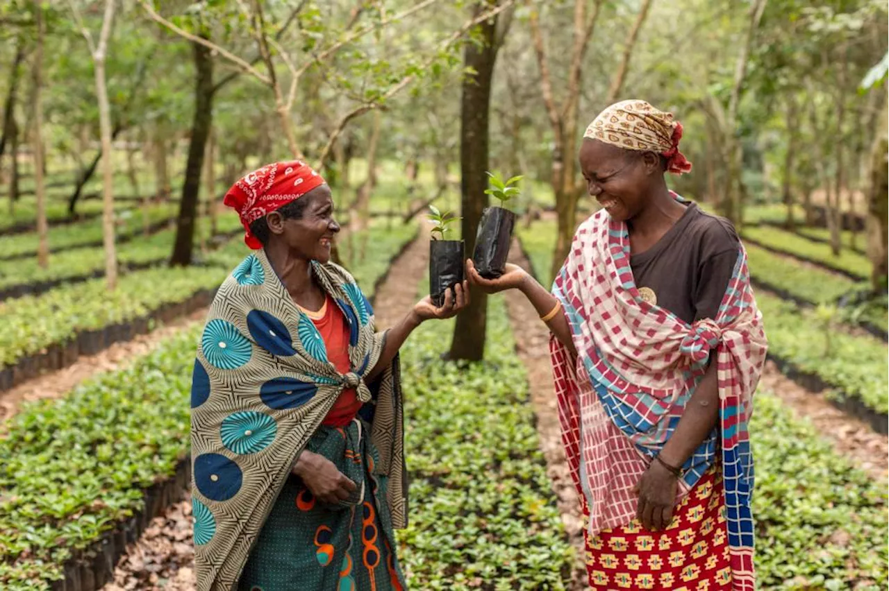 How coffee is helping to restore this national park