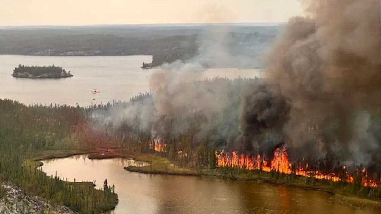 Wildfires, floods, hurricanes and earthquakes: What you need to know when disaster strikes