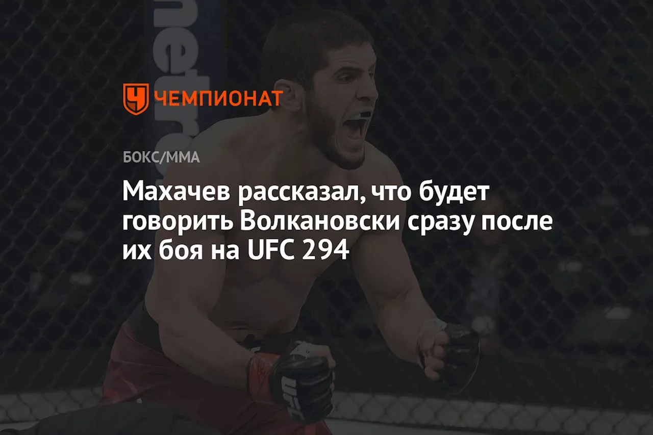 Махачев рассказал, что будет говорить Волкановски сразу после их боя на UFC 294