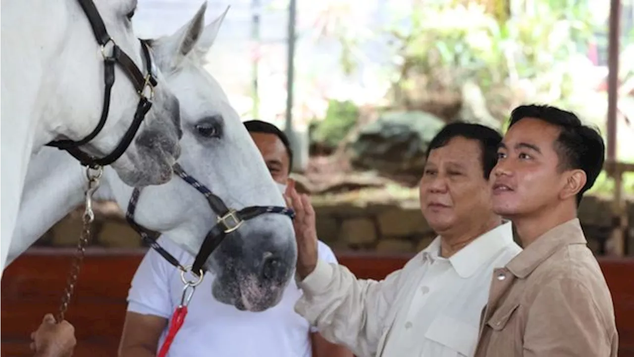 Prabowo Respons Kabar Temui Jokowi-Gibran Hari Ini