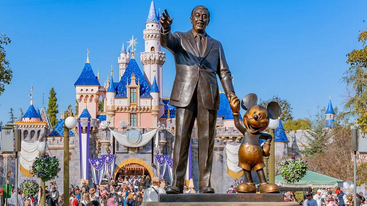 Disneyland guest SLAMS its 'atrocious' lines and and sky-high prices - insisting the theme park is...