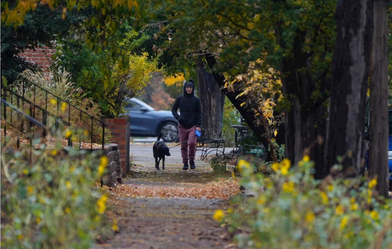 Denver weather: First freeze warning of season issued for metro area