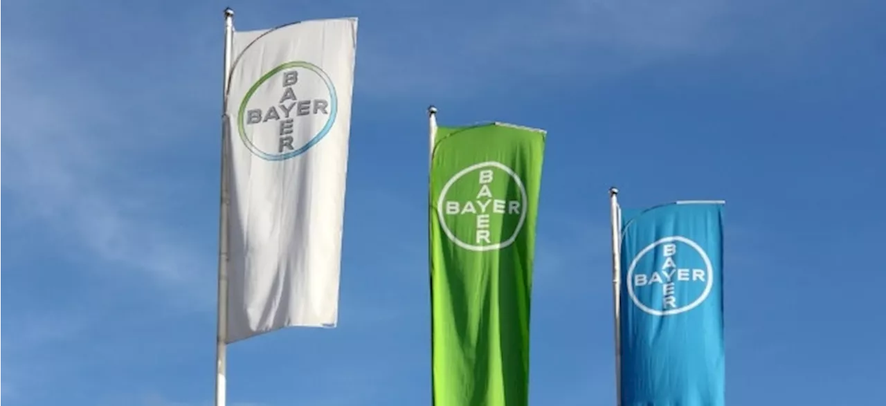 DAX 40-Titel Bayer-Aktie: So viel Verlust hätte ein frühes Bayer-Investment eingebracht