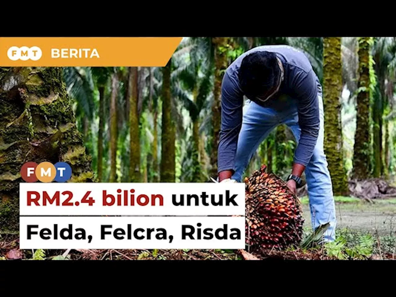 BELANJAWAN 2024: RM2.4 Bilion Untuk Felda, Felcra Dan Risda | Malaysia ...