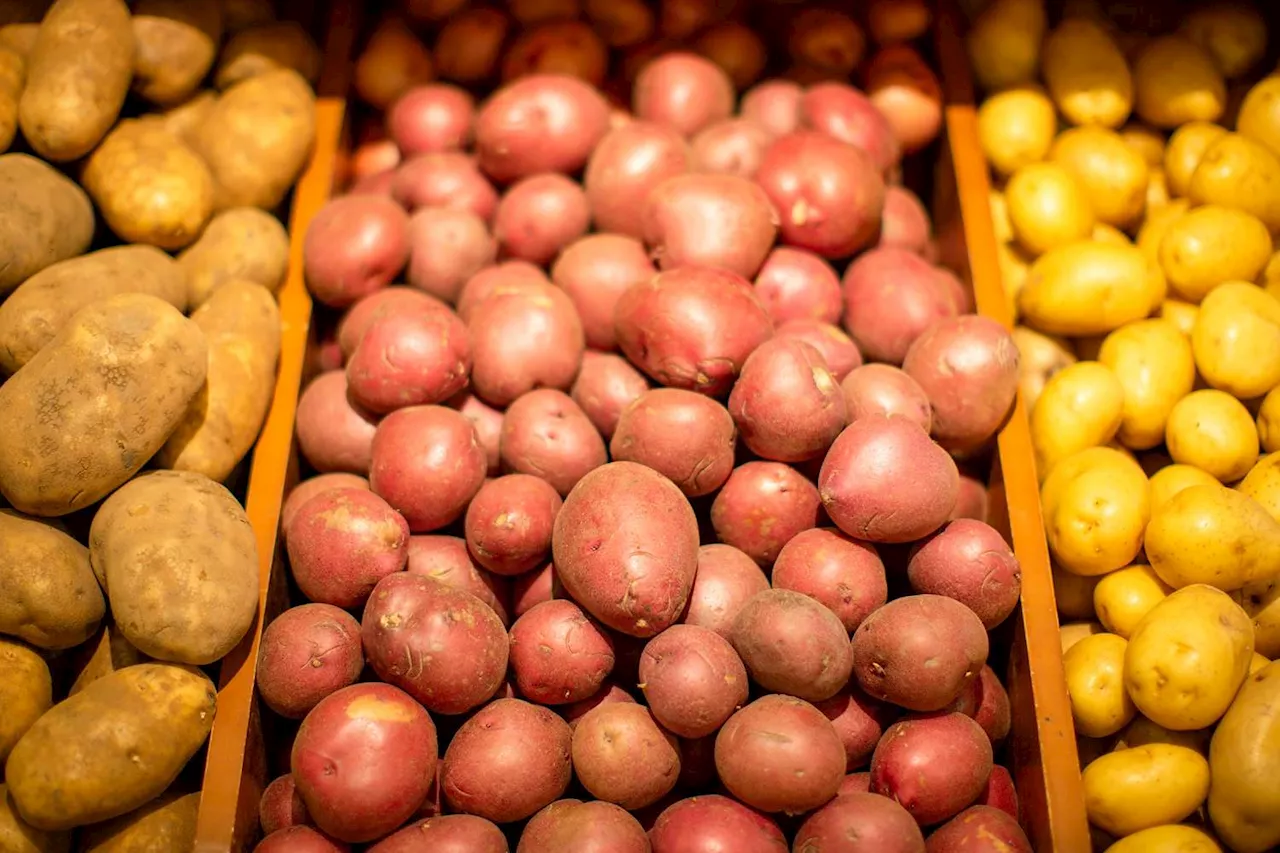 How to Pick the Right Potato for Mashing, Roasting, Frying, and So Much More