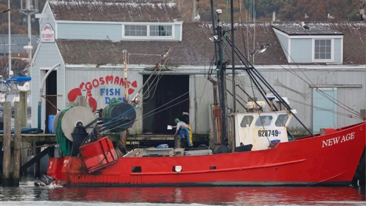 Small town fisherman harpooned on federal charges for catch that’s legal in other states: lawyer