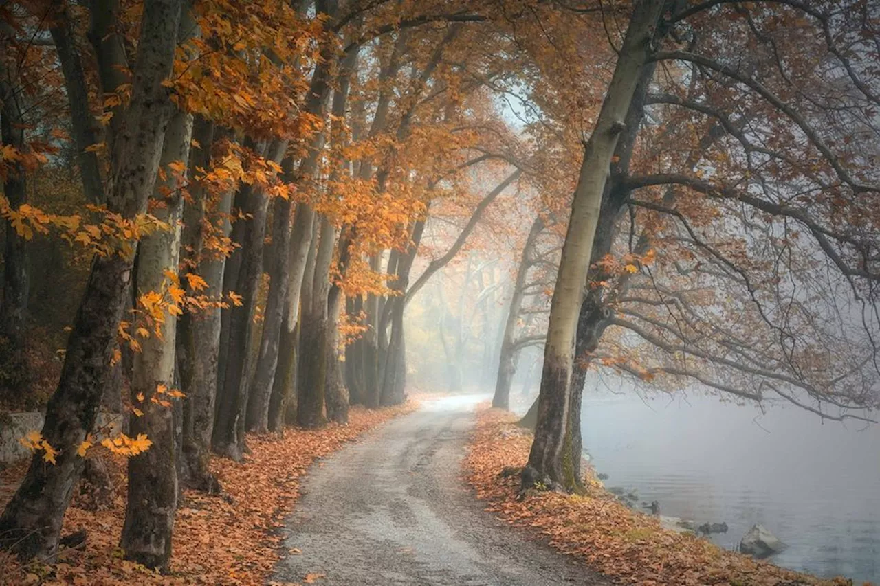 Météo : l'automne arrive (enfin)