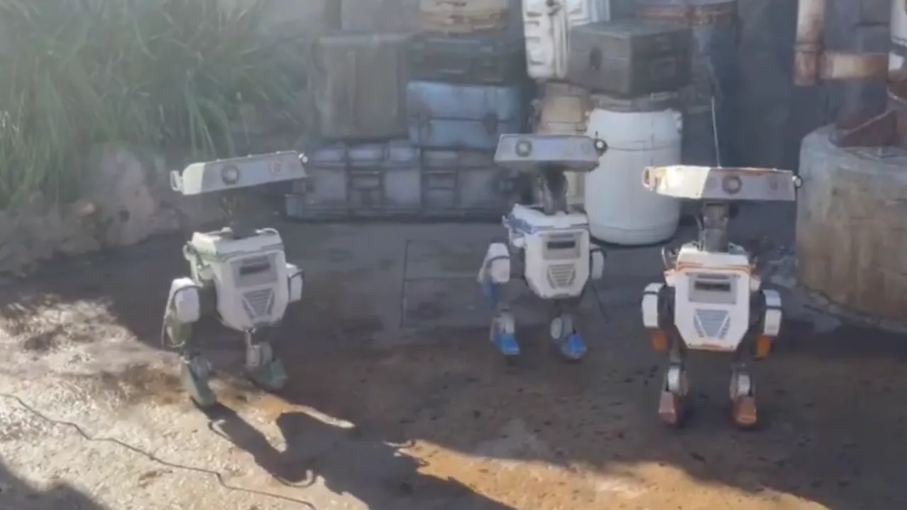 Star Wars BD Droids Spotted Adorably Roaming Disneyland Galaxy's Edge